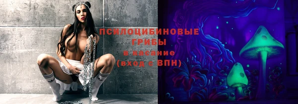 трава Тында