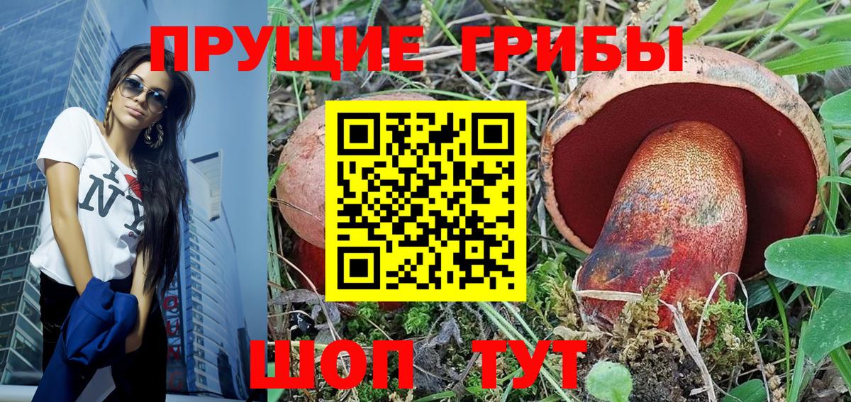 Псилоцибиновые грибы мицелий Абинск