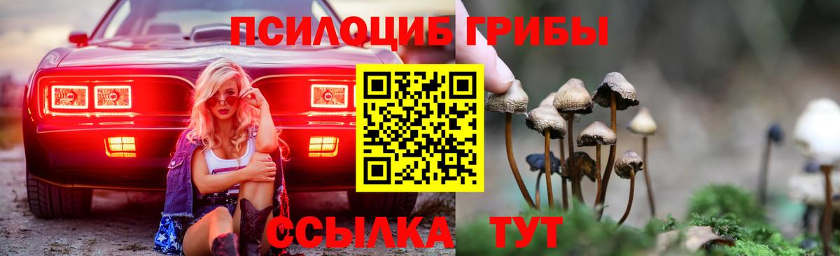 Абинск  Псилоцибиновые грибы Magic Shrooms  Вход с VPN  наркотики  Галлюциногенные грибы ЛСД 