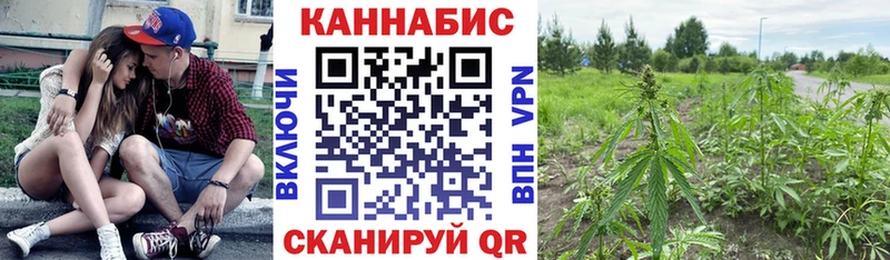 Марихуана сатива  mega зеркало  Абинск 
